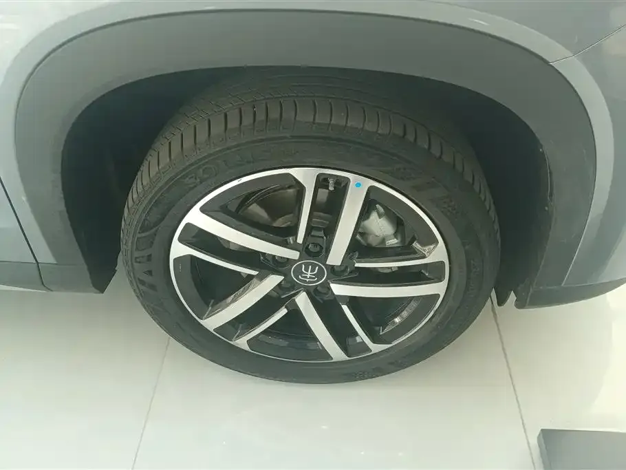 BYD L DM-i 2024 из CN, фото 2