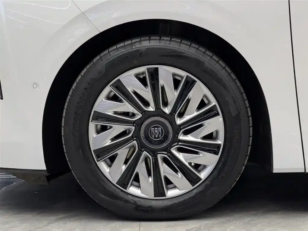 Buick Electra Family 2025 из CN, фото 10