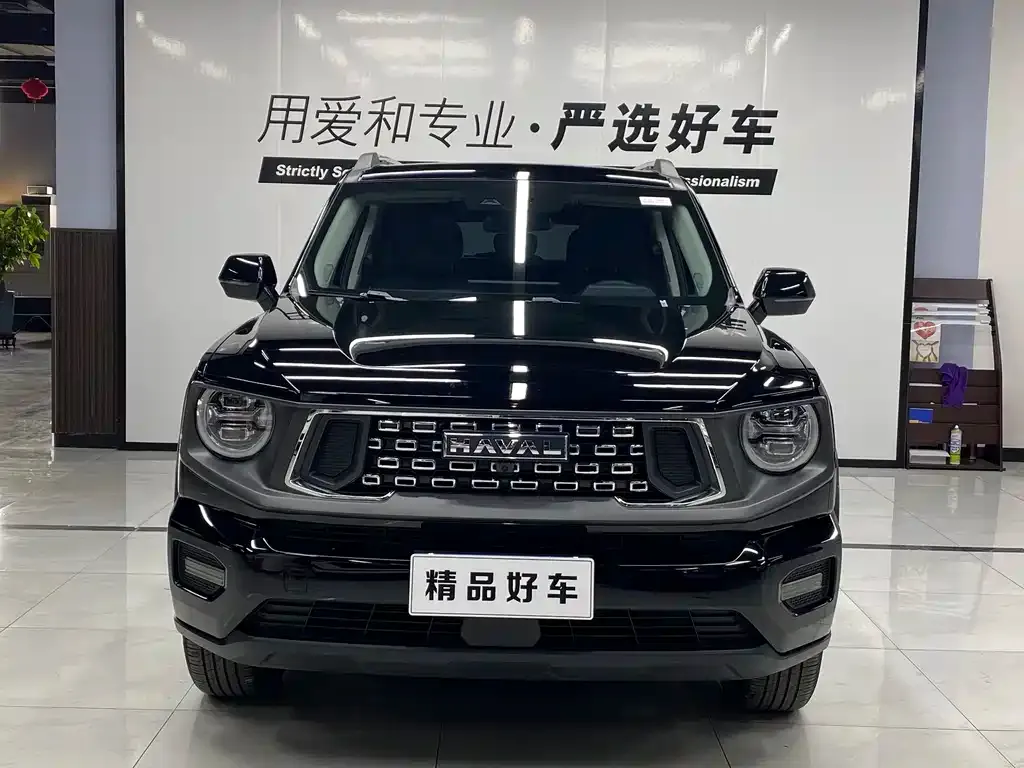 Haval H7 (Big Dog Plus) 2023 из CN, фото 9