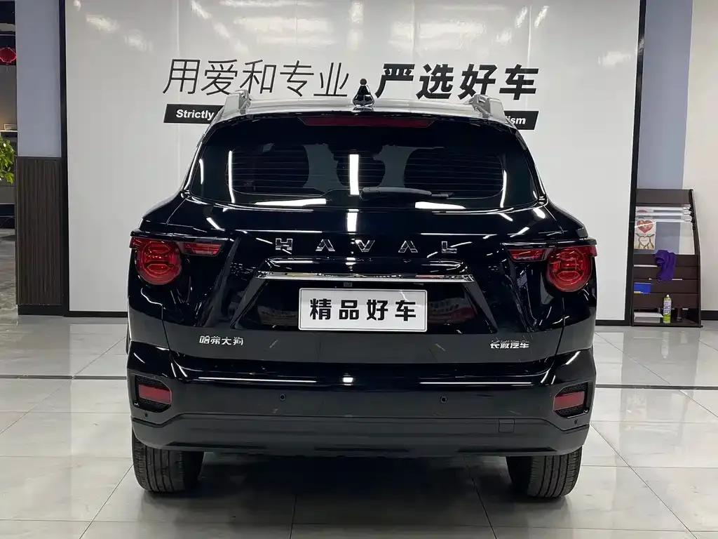Haval H7 (Big Dog Plus) 2023 из CN, фото 8