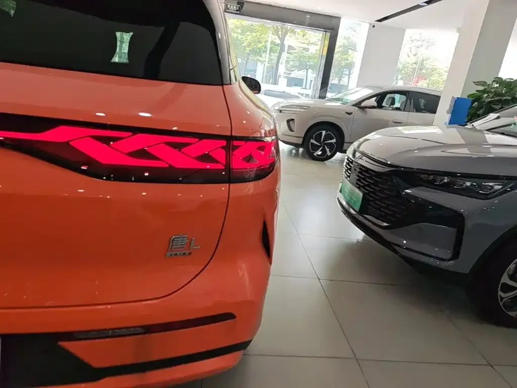 BYD Tang L 2025 из CN, фото 2