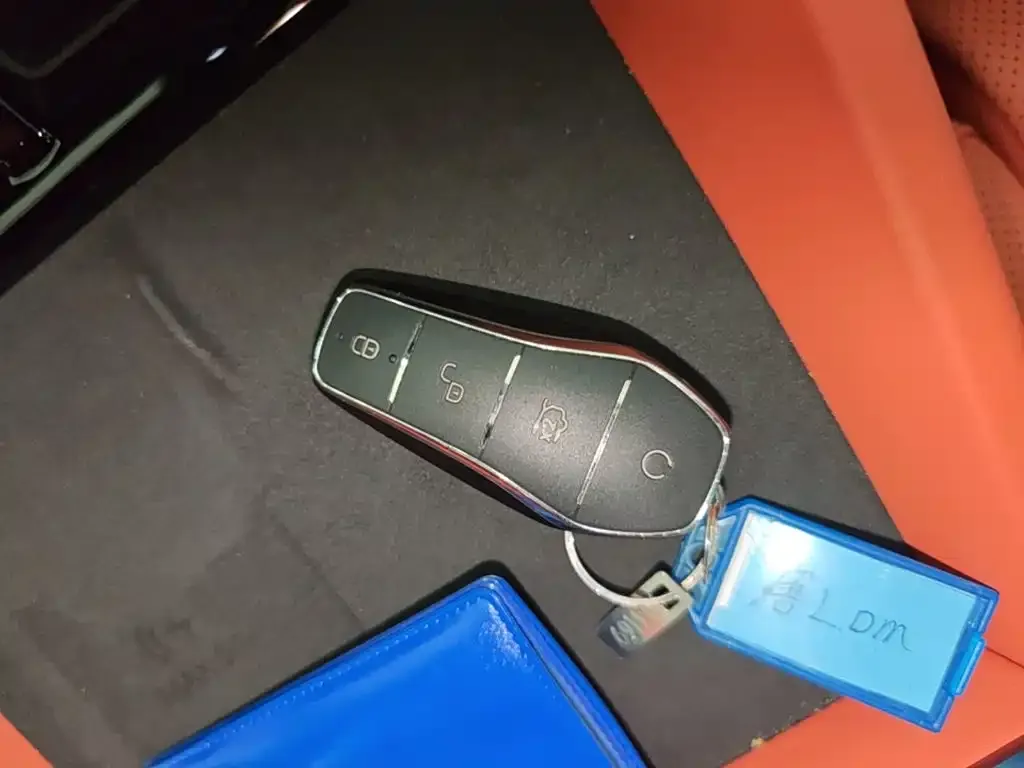 BYD Tang L 2025 из CN, фото 4