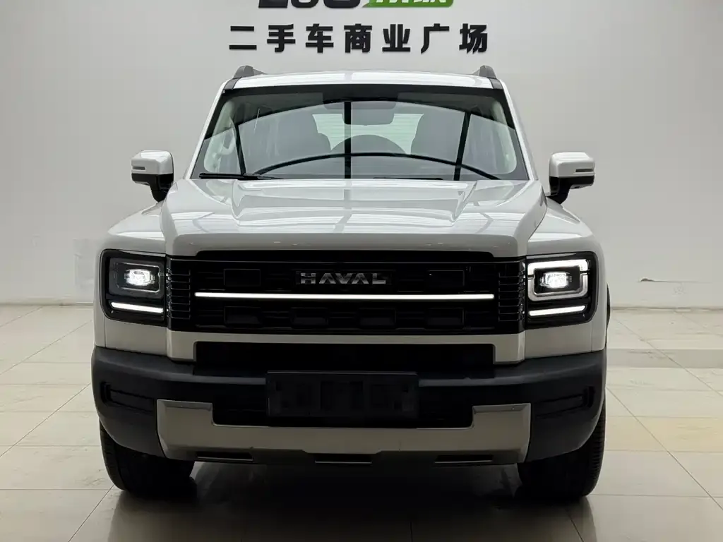 Haval Menglong New Energy — фото 2