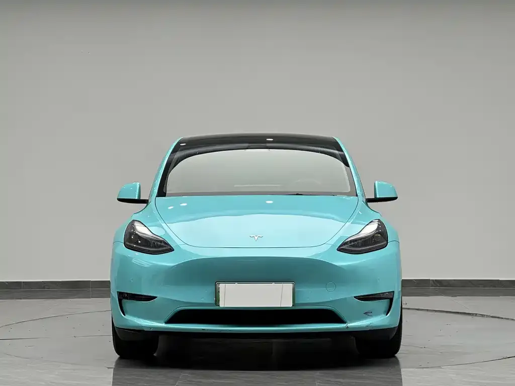 Tesla Model Y — фото 3