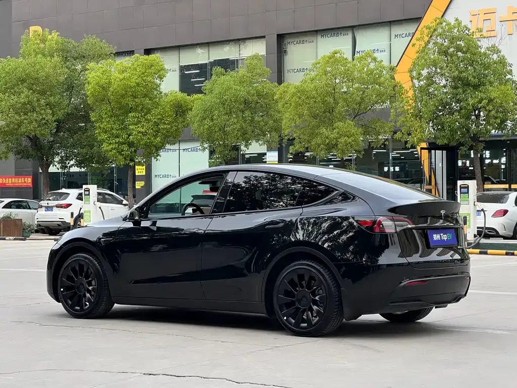 Tesla Model Y — фото 10