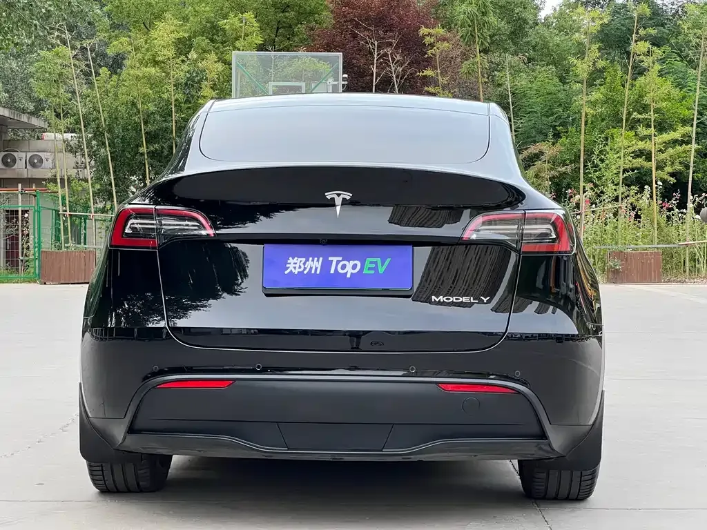 Tesla Model Y — фото 8