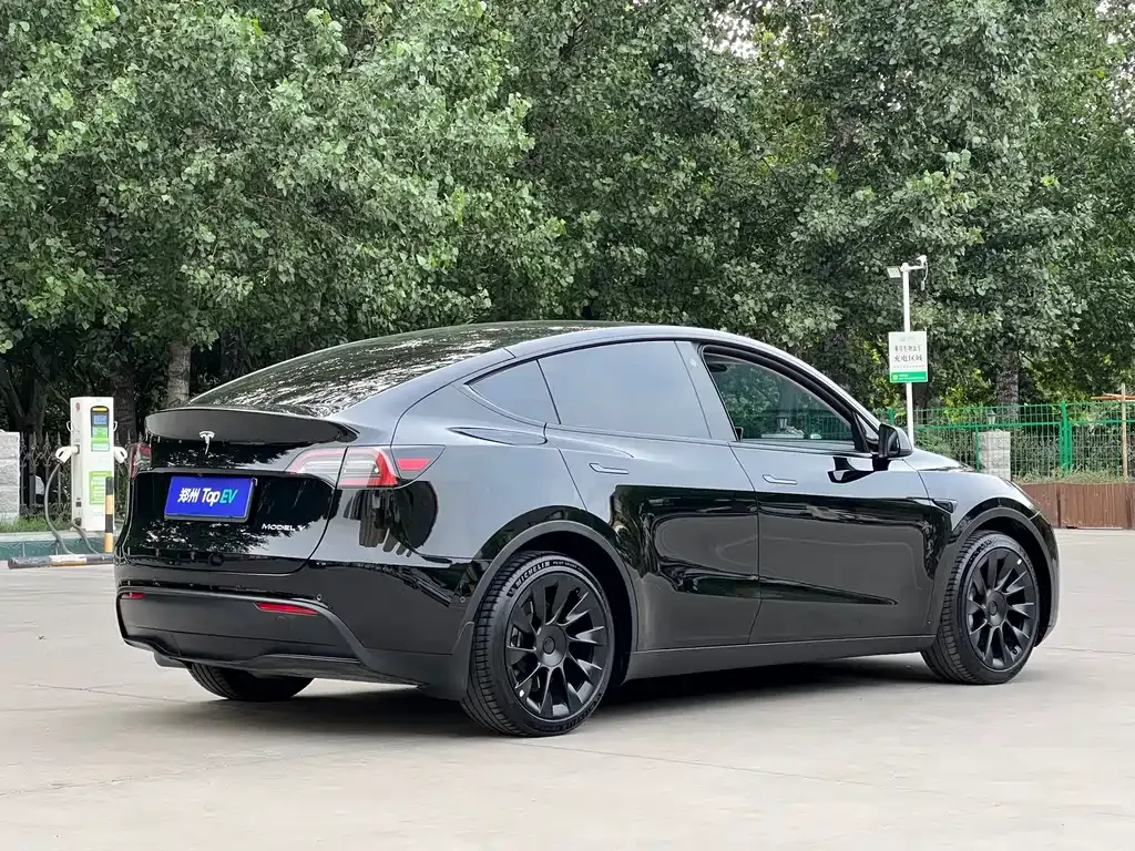 Tesla Model Y — фото 6