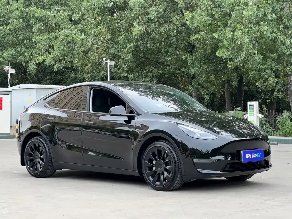 Tesla Model Y — фото 5