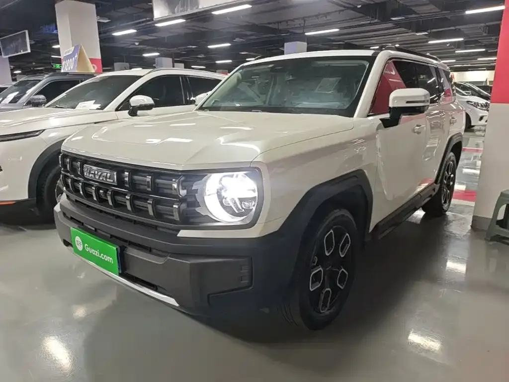 Haval Cool Dog 2023 из CN, фото 7
