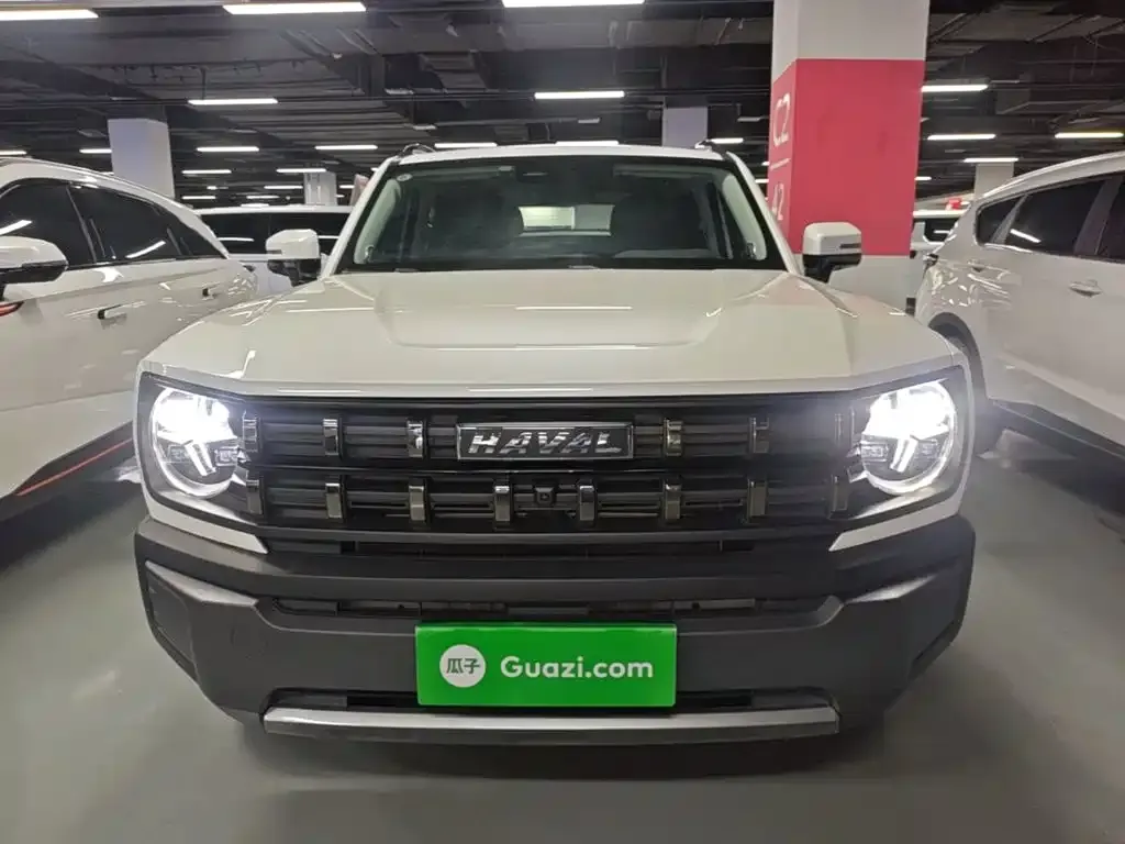 Haval Cool Dog 2023 из CN, фото 5