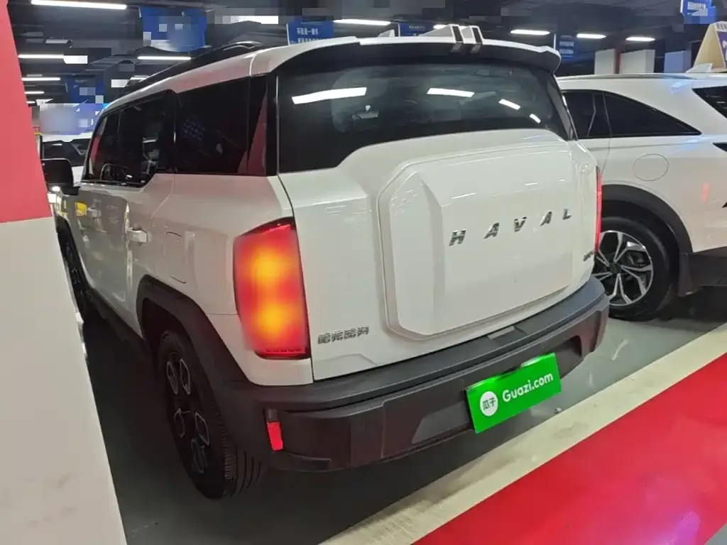 Haval Cool Dog 2023 из CN, фото 6