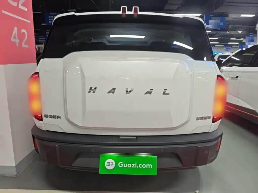 Haval Cool Dog 2023 из CN, фото 3