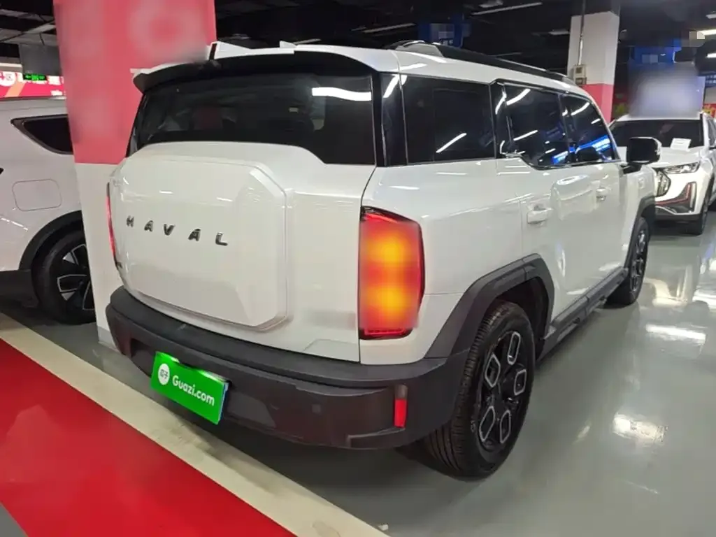 Haval Cool Dog 2023 из CN, фото 9