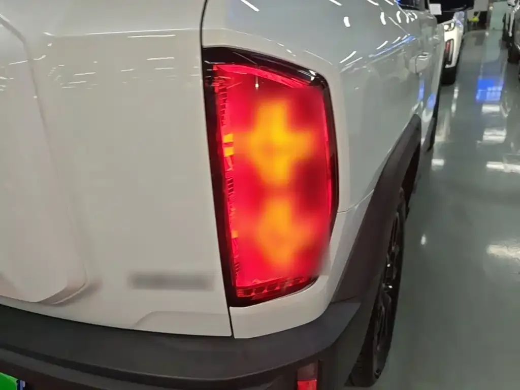 Haval Cool Dog 2023 из CN, фото 2