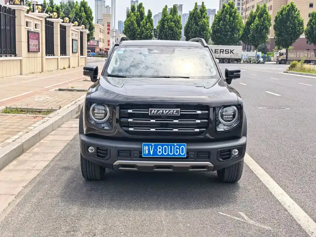 Haval Big Dog — фото 10