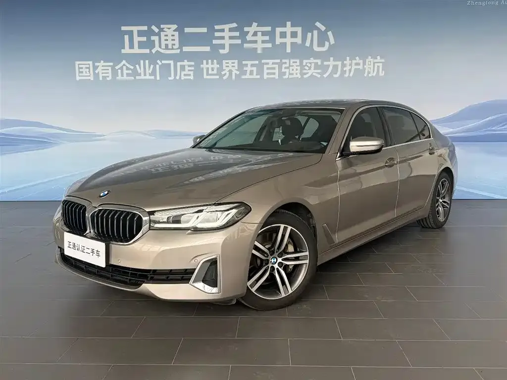 BMW 5 Series 530Li Executive Luxury 1
