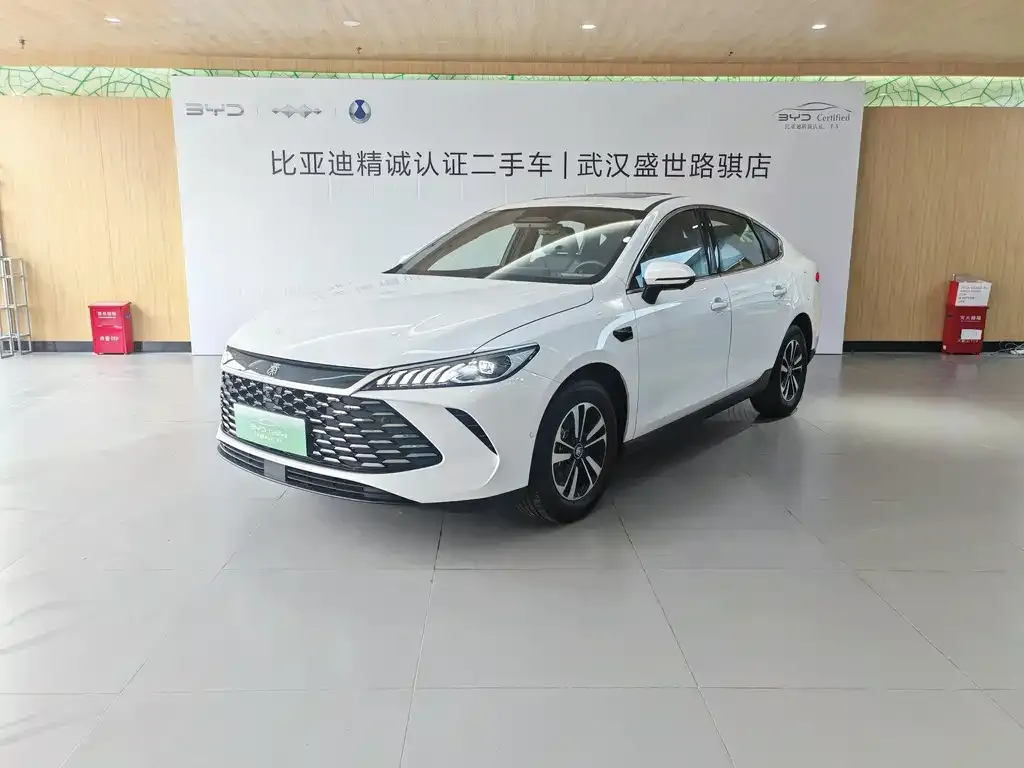 BYD Qin PLUS — фото 1