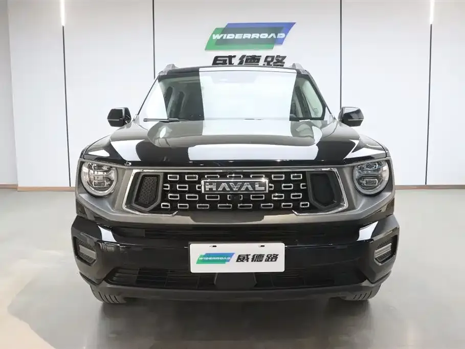 Haval H7 (Big Dog Plus) 2024 из CN, фото 3
