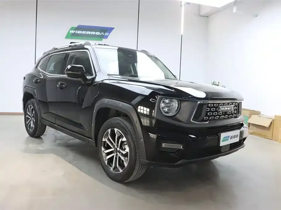 Haval H7 (Big Dog Plus) 2024 из CN, фото 4