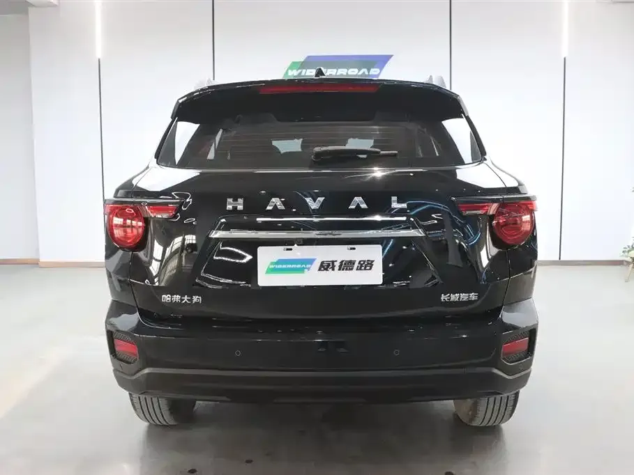 Haval H7 (Big Dog Plus) 2024 из CN, фото 5
