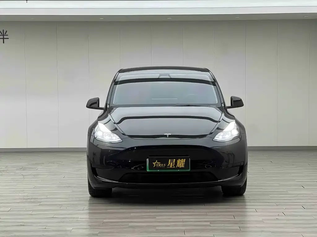 Tesla Model Y — фото 9