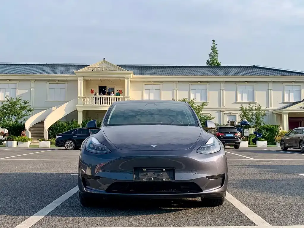 Tesla Model Y — фото 3