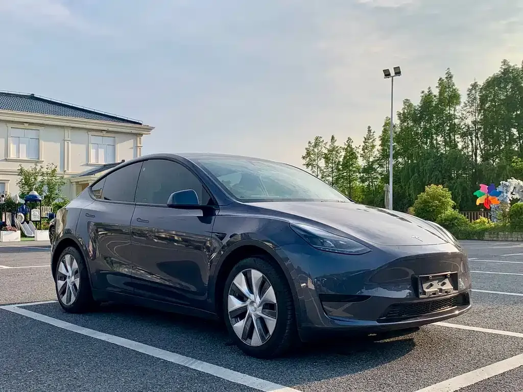 Tesla Model Y — фото 9
