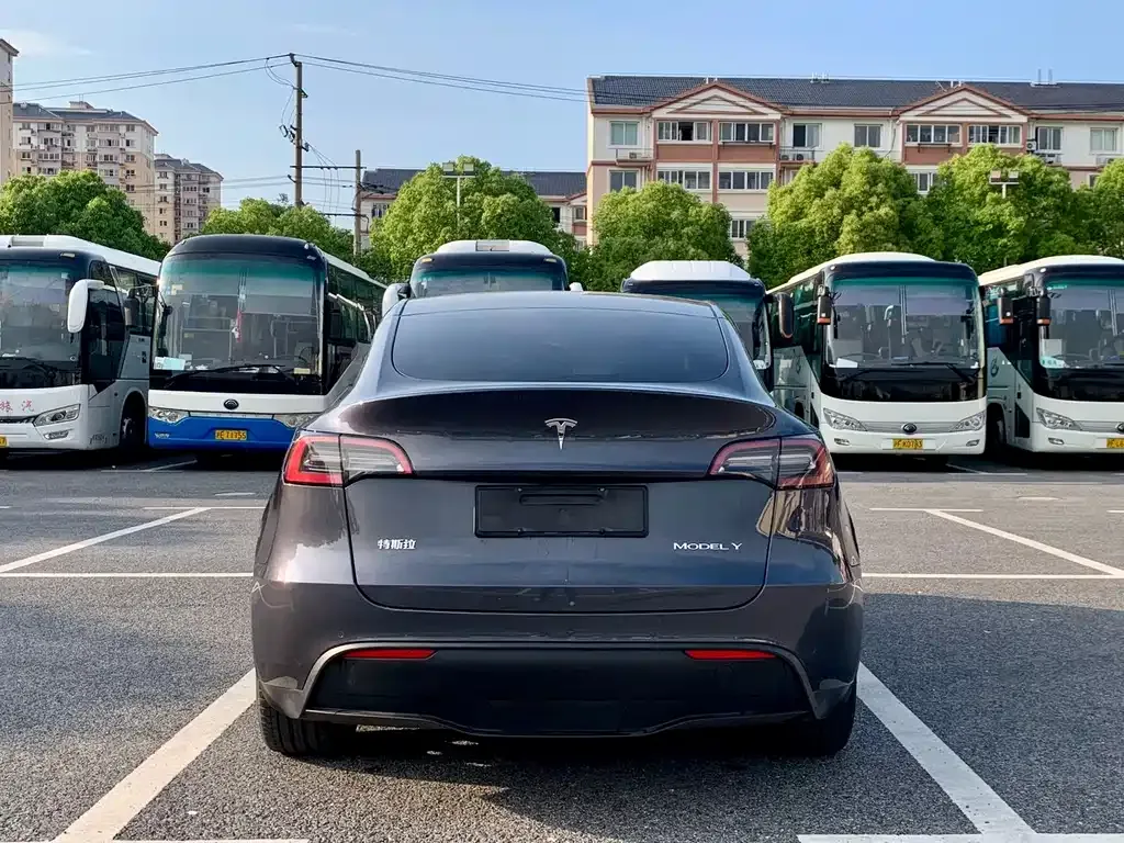 Tesla Model Y — фото 10