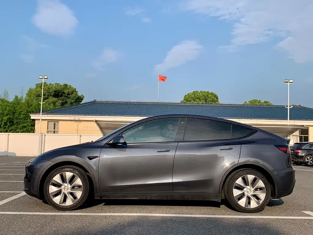 Tesla Model Y — фото 2