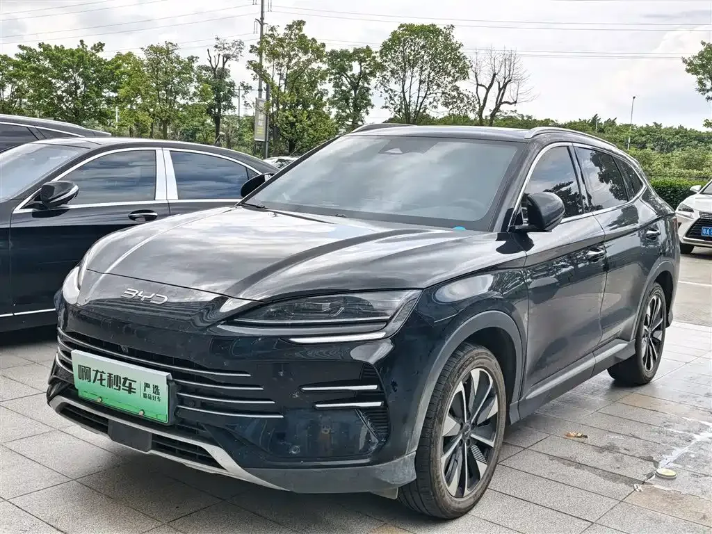 BYD PLUS New Energy — фото 1