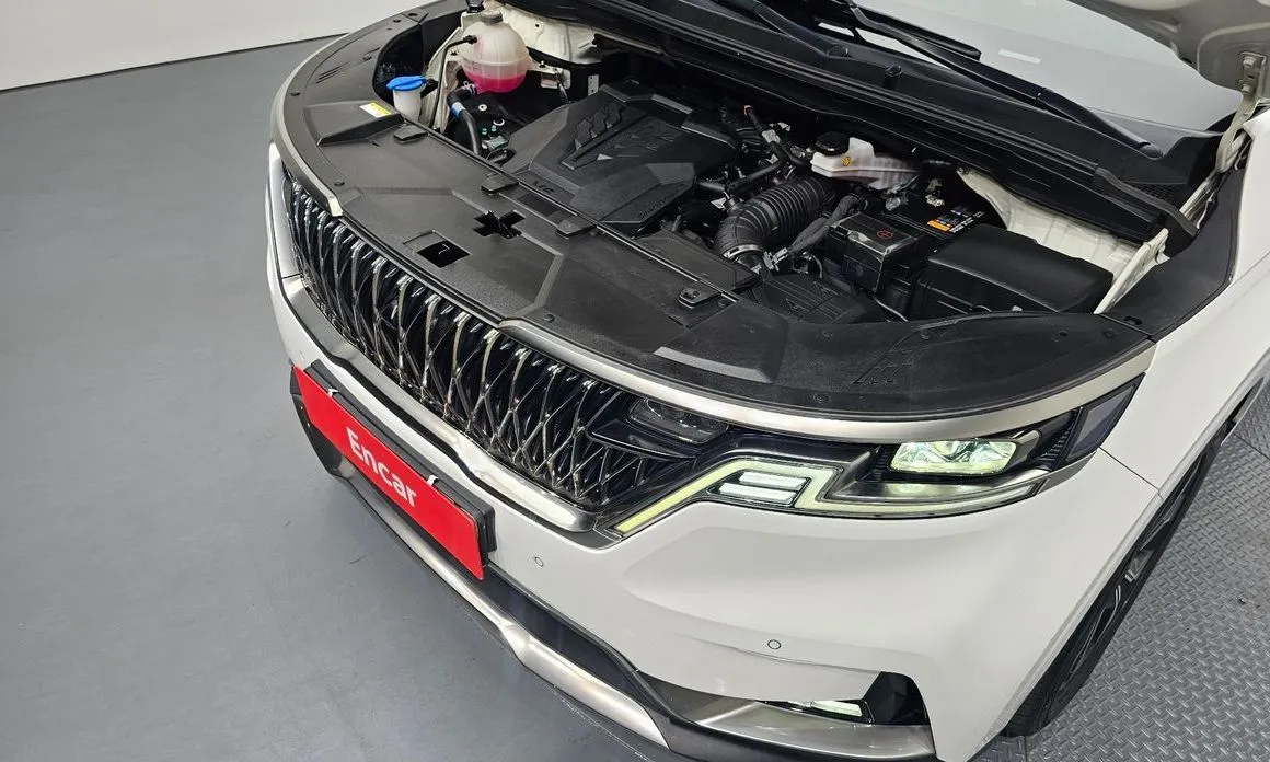 Kia Carnival — фото 10