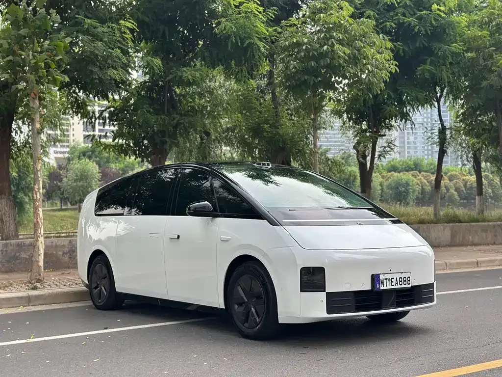 Li Auto MEGA 2025 из CN, фото 6