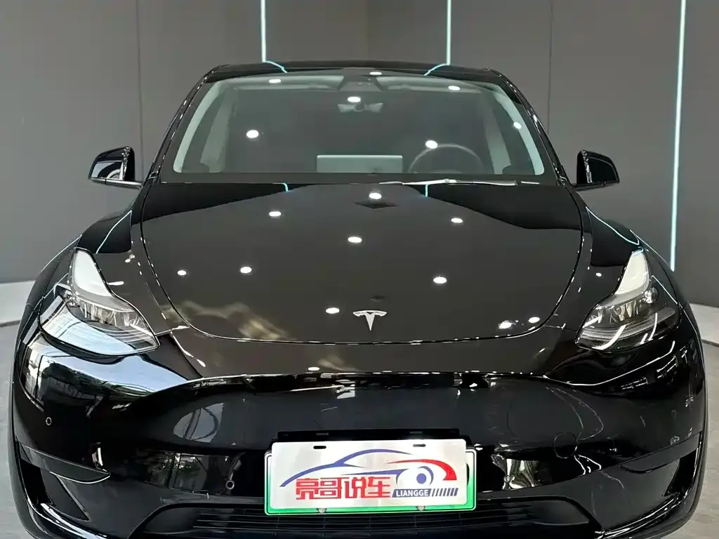Tesla Model Y — фото 10