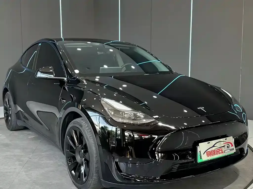 Tesla Model Y — фото 2