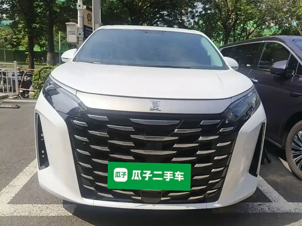 BYD Xia 2025 из CN, фото 6