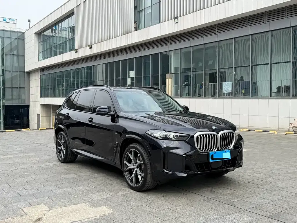 BMW X5 — фото 10