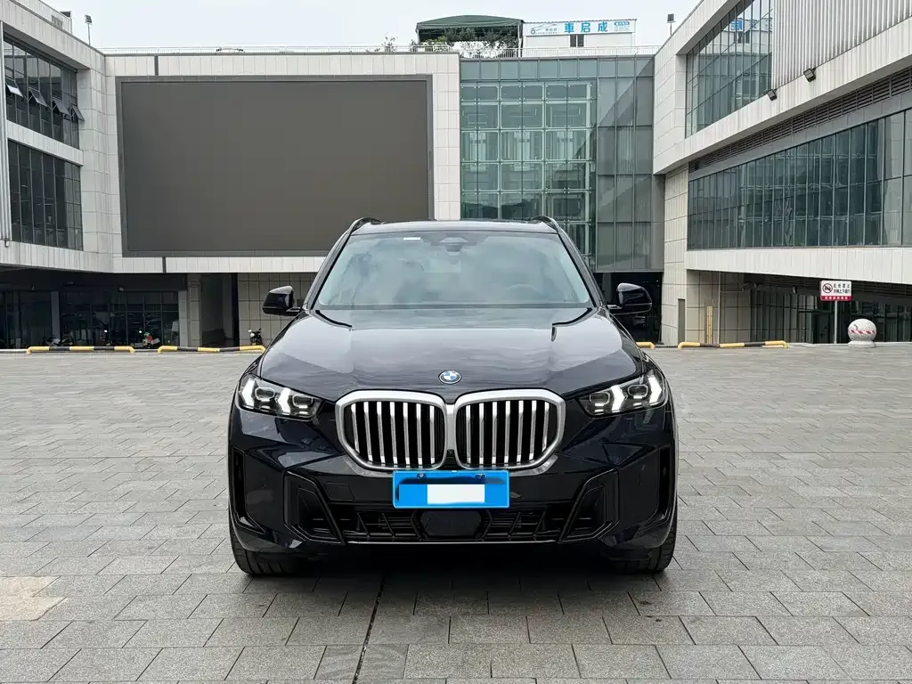 BMW X5 — фото 5