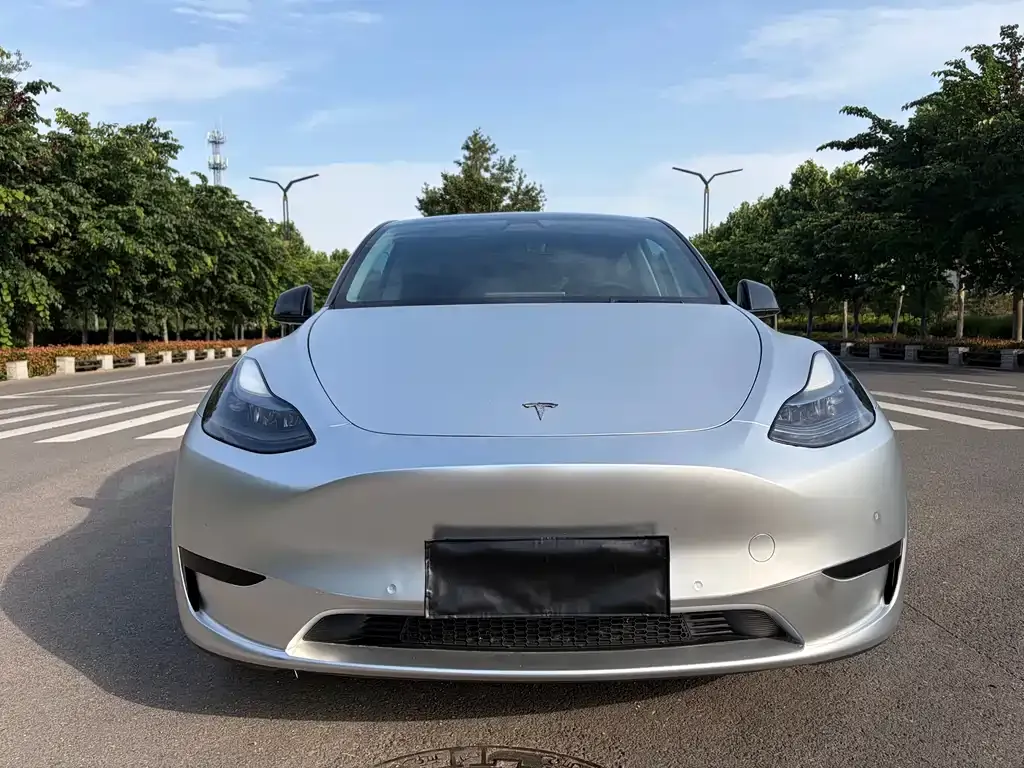 Tesla Model Y — фото 1