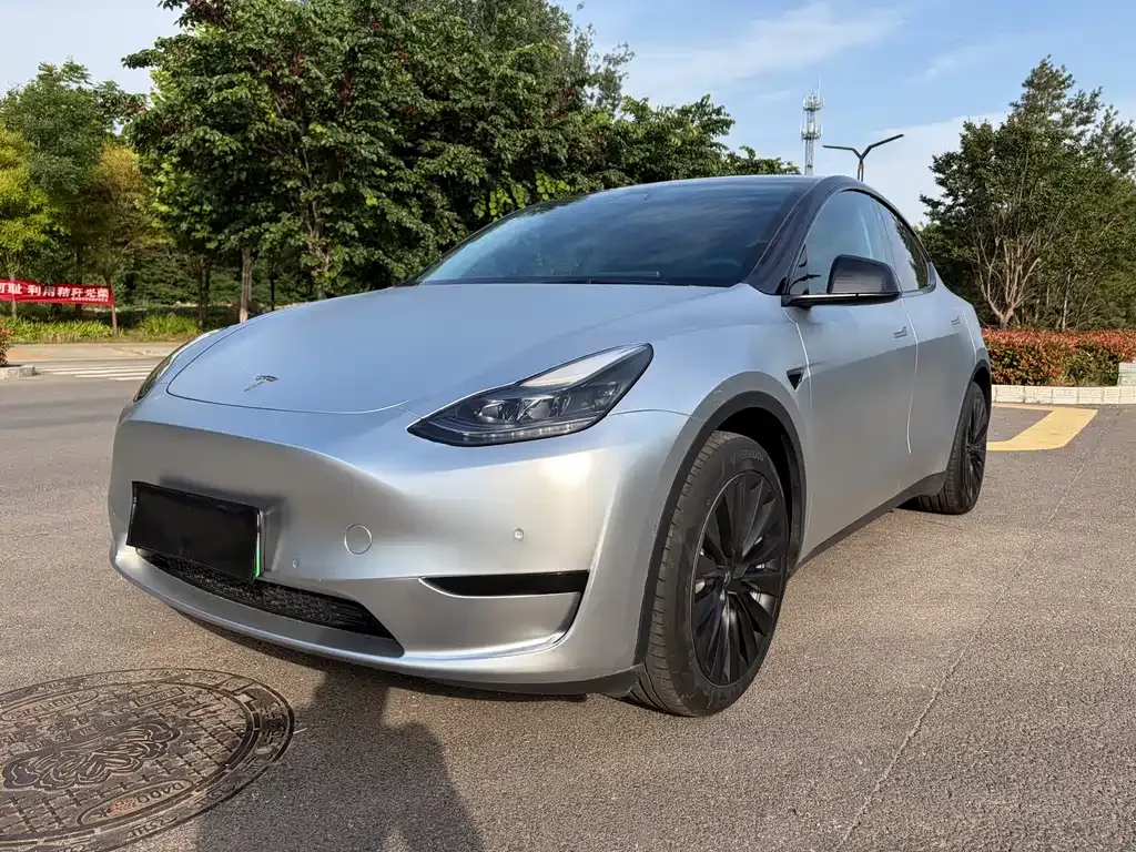Tesla Model Y — фото 6