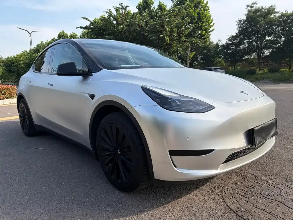 Tesla Model Y — фото 9