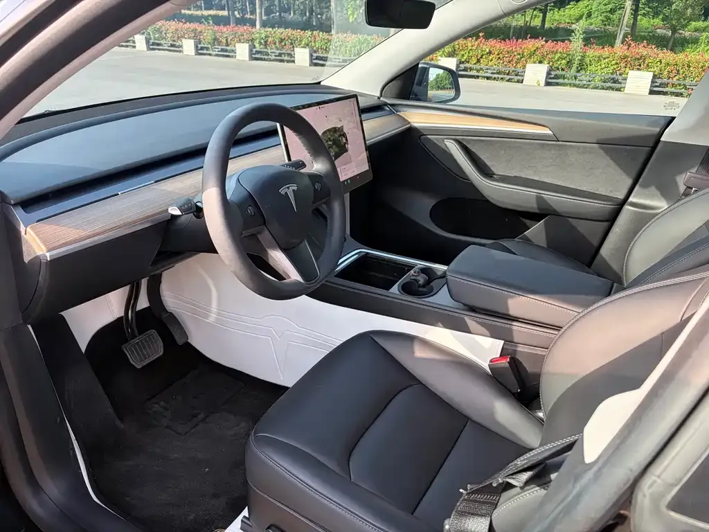 Tesla Model Y — фото 2