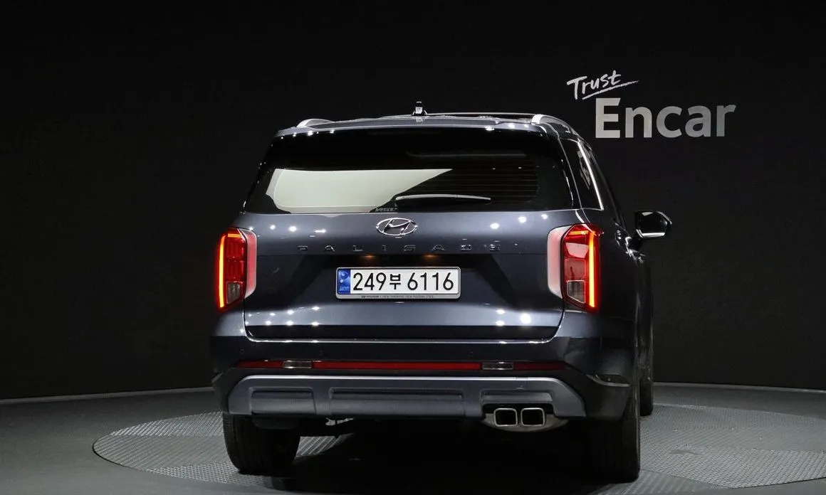 Hyundai Palisade — фото 8