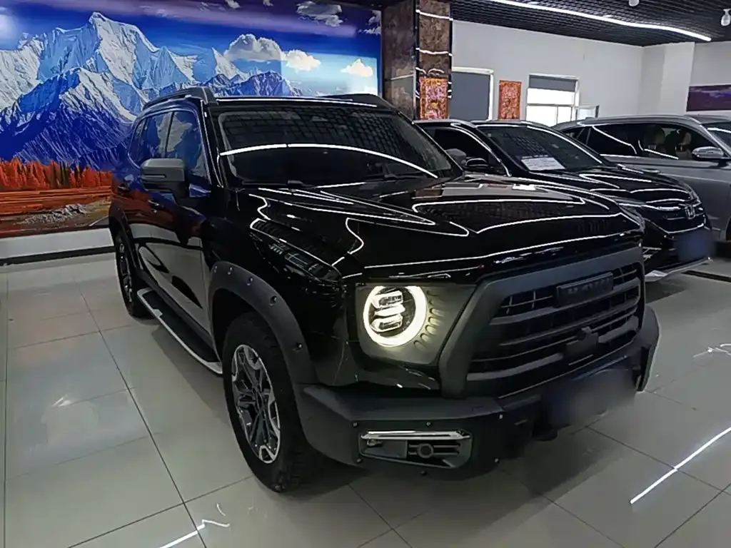 Haval Big Dog — фото 10