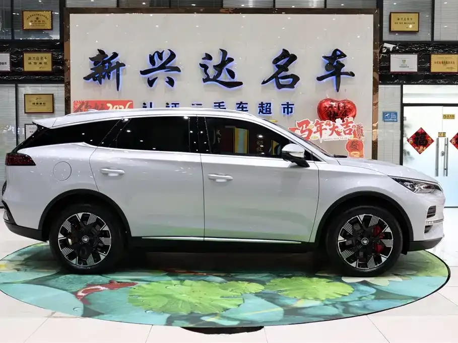 BYD Tang New Energy — фото 6