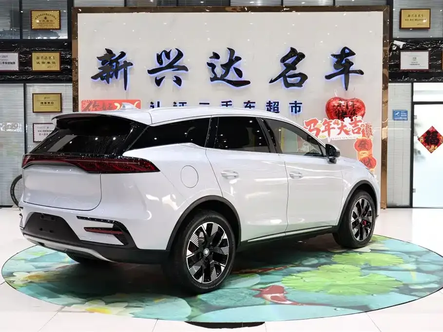 BYD Tang New Energy — фото 9