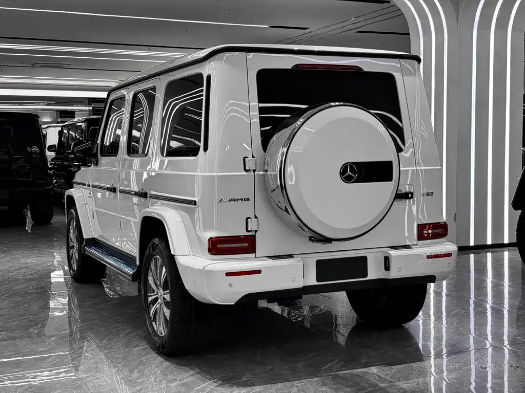 Mercedes-Benz G-Class — фото 8