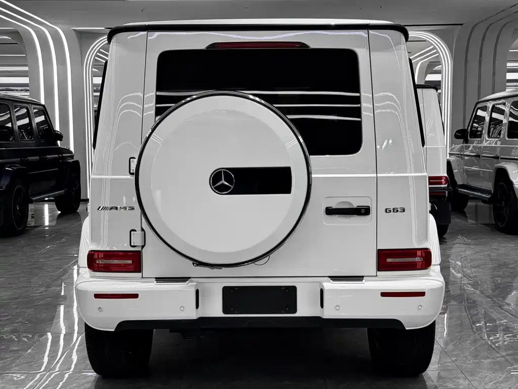 Mercedes-Benz G-Class — фото 6