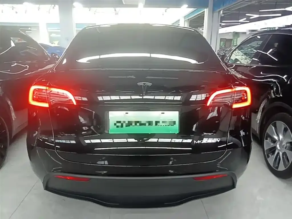 Tesla Model Y — фото 10