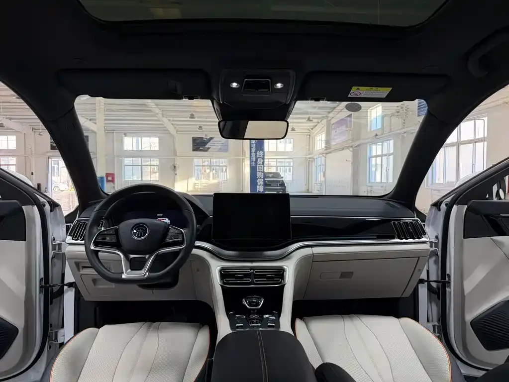 BYD PLUS New Energy — фото 4