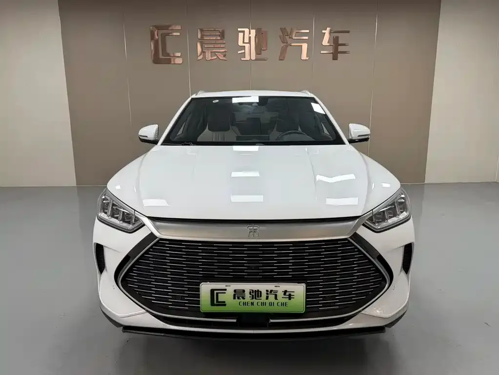 BYD PLUS New Energy — фото 5